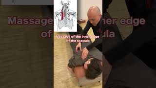 Massage of the inner edge of the scapula massage [upl. by Ikceb861]