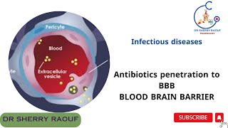 Infectious diseasesAntibiotics penetrate blood bran barrier BBB [upl. by Hanonew55]