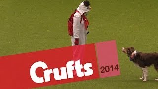 Heelwork to Music  Freestyle International  2nd Place  Crufts 2014 [upl. by Einafets]