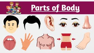 Parts of body  शरीर के अंगो के नाम  Name of body part in hindi and english  Learn body parts [upl. by Akinor]