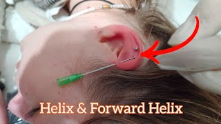 EAR PIERCING Helix amp Forward Helix piercing [upl. by Enyaj]