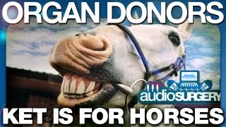 Organ Donors  Ket Is For Horses ORIGINAL VIDEO HD [upl. by Eimmot]