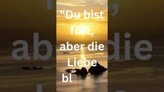 quotDu bist fort aber die Liebe bleibtquot traurig sprüche [upl. by Aivonas586]