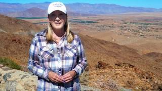 Borrego Springs In Full Color on Traveling With Francoise [upl. by Jan733]