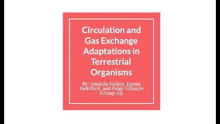 Circulation and Gas Exchange Adaptations in Terrestrial Organisms Group A3  BIO182 [upl. by Thea368]