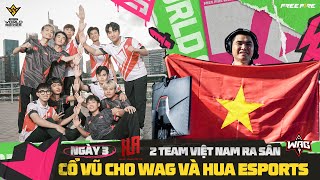 WAG CÂN 3 TEAM THAILAN  2 TOP 1 TẠI VÒNG BẢNG CHUNG KẾT FREE FIRE THẾ GIỚI BRAZILL 2024 [upl. by Nelram]