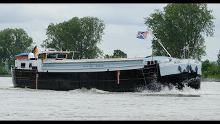 90 ShipspottingBinnenschiffe  Schiffe  Péniche  Spits GroßRohrheim Boston Walhall [upl. by Araes]