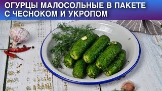 Огурцы малосольные в пакете с чесноком и укропом 🥒 Как приготовить МАЛОСОЛЬНЫЕ ОГУРЦЫ в ПАКЕТЕ [upl. by Mcleod58]