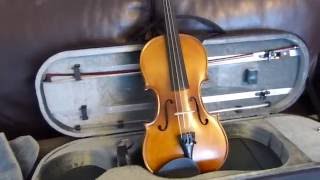 Stentor Graduate Violin Review [upl. by Carpet577]