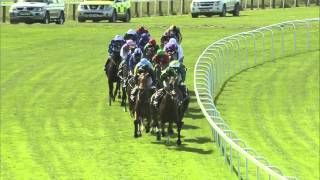 2014 Investec Oaks  Taghrooda  Racing TV [upl. by Selestina99]