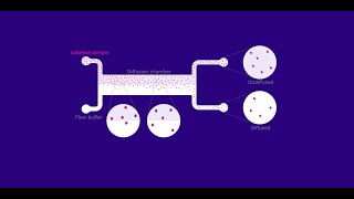 What is Microfluidic Diffusional Sizing MDS Technology [upl. by Tudela31]