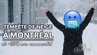 FROID EXTRÊME et TEMPÊTE DE NEIGE à Montréal [upl. by Emeric]