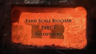 Farm Scale Biochar Part 2 Feedstocks [upl. by Anoyek704]