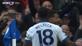 Danny Welbeck GoalBrighton vs Wolves 10 All Goals and Extended Highlights [upl. by Alfonso]