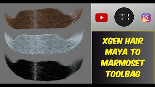 Hair Transfer from Maya to Marmoset Toolbag with Xgen maya blender gaming hair 3d [upl. by Neetsyrk906]