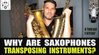 WHY ARE SAXOPHONES TRANSPOSING INSTRUMENTS [upl. by Gibbeon]