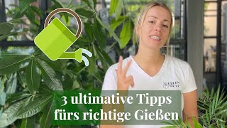 3 ultimative Tipps fürs richtige Gießen  Zimmerpflanzen richtig wässern  mit Lisa [upl. by Ecnerual580]