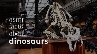 ASMR Ear to Ear Whispered Facts about Dinosaurs [upl. by Diamond]