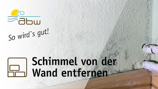 Schimmel von der Wand entfernen  diese Mittel helfen [upl. by Ignacia]