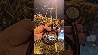 Stethoscope 🩺❣️😊medicomotivation motivationalshortshortvideotrendingviralvideoneetmotivation [upl. by Notsej]