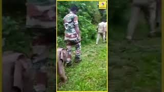 சீக்கிரமா நடங்க சார்  அம்மாவ பாக்கணும்ல  Elephant Viral Video  Shorts [upl. by Jew]