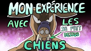 Mon Expérience Avec Les Chiens [upl. by Terza709]