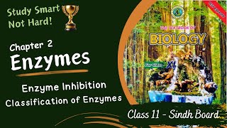 Enzyme Inhibition  Classification of Enzymes  Chapter 2  Sindh Board  Class 11  Biology [upl. by Rakabuba]