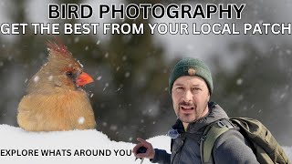 The KEY to good BIRD PHOTOGRAPHY  Fieldcraft  Patience  And HOW TO BEST know your local Patch [upl. by Trutko]