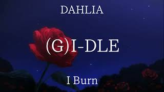 GIDLE  DAHLIA Color Coded Lyrics [upl. by Ahsikym]