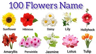 100 flowers name in english  learn flowers name  flowers vocabulary [upl. by Hylton]