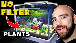 NO FILTER AQUARIUM SETUP PLANTING  MD FISH TANKS [upl. by Sihonn]