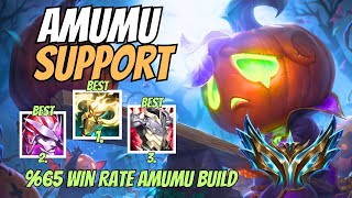 Amumu Support Guide  Amumu Guide  Guide of League Of Legends [upl. by Walker608]