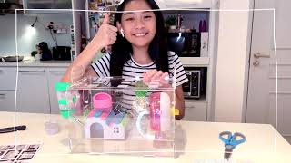 DIY Acrylic Cage for Hamster [upl. by Ardine]