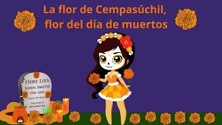 LA FLOR DE CEMPASÚCHIL FLOR DEL DÍA DE MUERTOS LA FLOR DE CEMPASÚCHIL PARA NIÑOS [upl. by Oidgime186]