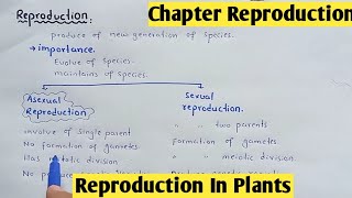 Reproduction in plants  Life Cycle Bryophyte And Gymnosperms  Class 12 Biology [upl. by Seigler900]