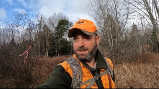 2nd Week of Deer Season 2024 Part 1 [upl. by Silliw156]