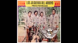 Los Jilgueros Del Arroyo  Mal Agradecida 1974 El Primer Cd [upl. by Barimah571]