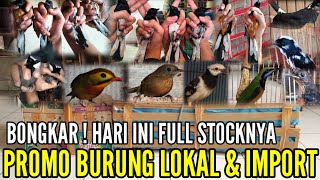 🔴 BONGKAR‼️PROMO RAMADHAN BELI ECER HARGA GROSIR FULL BURUNG IMPORT amp LOKAL 083875536945 [upl. by Arual]