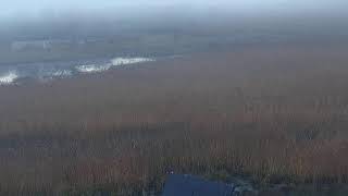 RSPB Leighton Moss Osprey Platform Live Stream [upl. by Nolyarb]