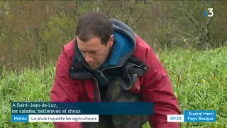 SaintJeandeLuz les maraîchers souffrent de la pluie [upl. by Berna]