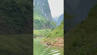 Cheerful Moments of Travelers Exploring the Ha Giang Loop [upl. by Haik]