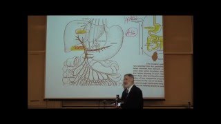 Routes of drug administration  Pharmacology [upl. by Justin]