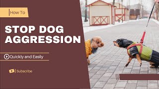 How to stop Dog Aggression quickly And easily  In a few steps [upl. by Jade914]