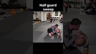 Half guard sweep bjj jiujitsu martialarts [upl. by Anasor]