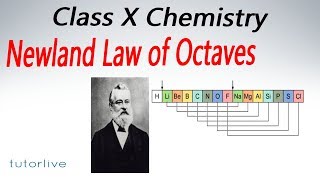 Newland law of octaves  Class 10 X Science  Tutorlive [upl. by Dustman292]