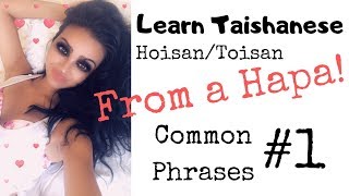 Common TAISHANESE Phrases  Learn HoisanToisan Chinese [upl. by Secundas859]