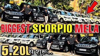 Scorpio S11 For Sale In Patna Bihar  Biggest Scorpio Mela Patna  Second Hand Scorpio Patna [upl. by Barty229]