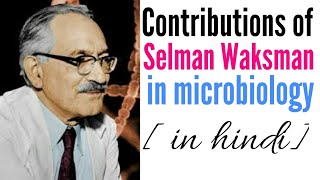 Contribution of Salmona WAKSMAN IN MICROBIOLOGY IN HINDI  streptomycin discovey [upl. by Enillebyam769]