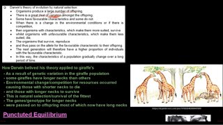 Grade 12 Life Sciences Evolution Part 2 [upl. by Adnaugal]