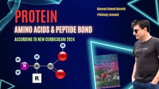 Proteins  Amino Acids  Peptide Bond  Fibrous amp Globular Proteins  Urdu Hindi English 2024 [upl. by Naihr]